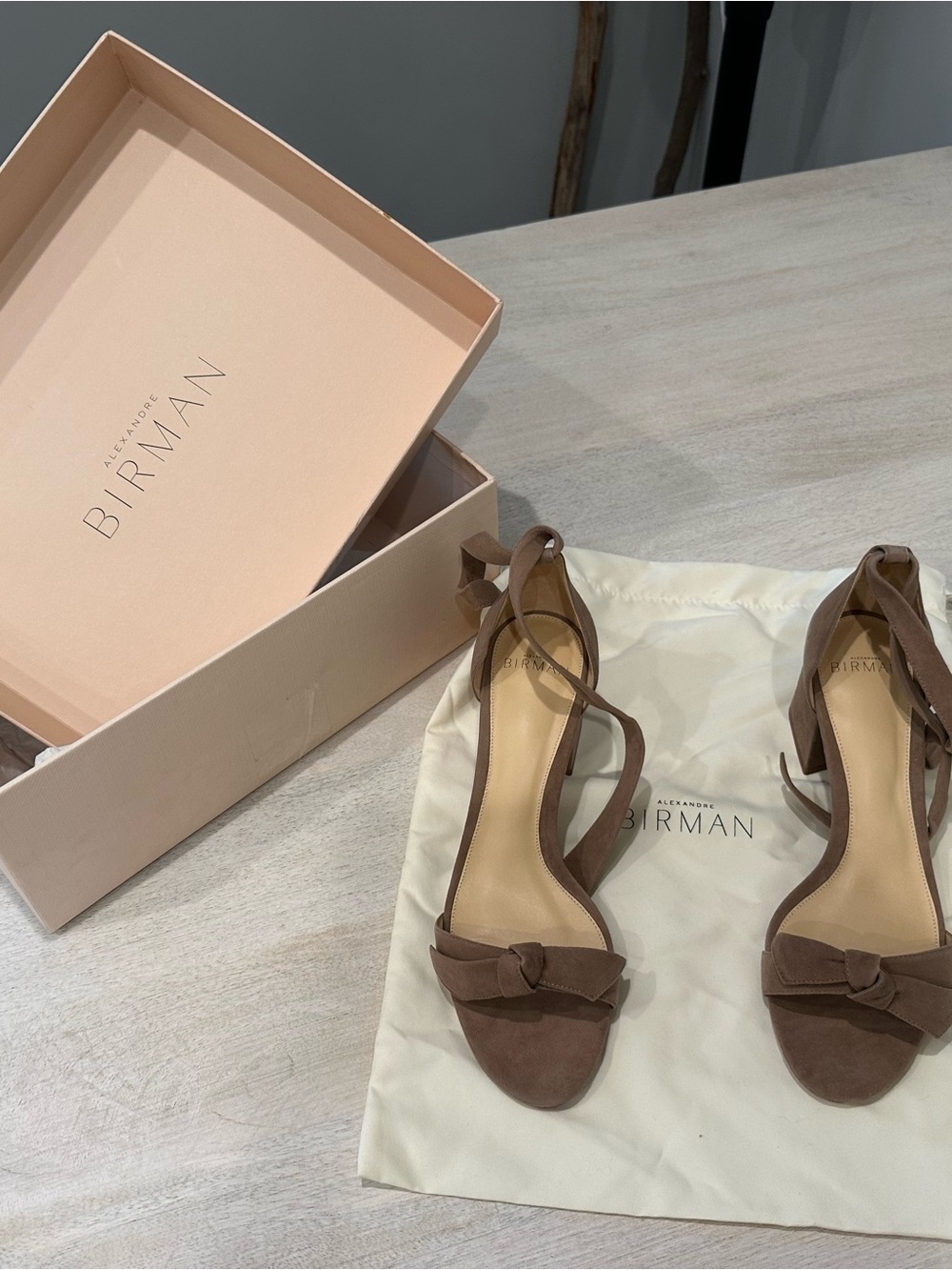 Alexandre Birman Brown Suede Ankle-Tie Sandals